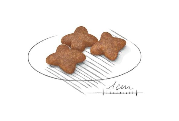 SHN MINI ADULT 4KG
