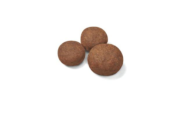 SHN MEDIUM JUNIOR 4KG