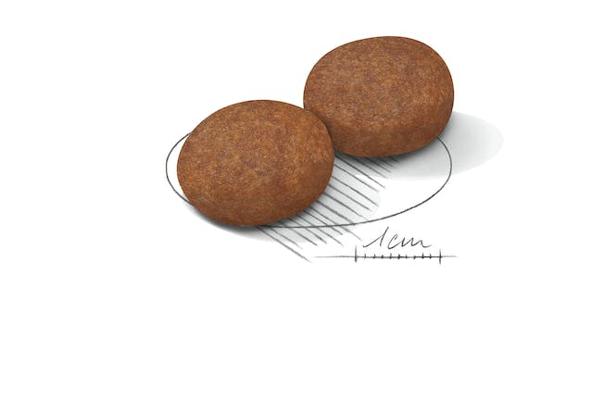 SHN MEDIUM ADULT +7 15KG