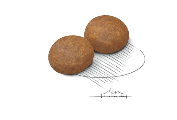SHN MAXI ADULT +5 15KG