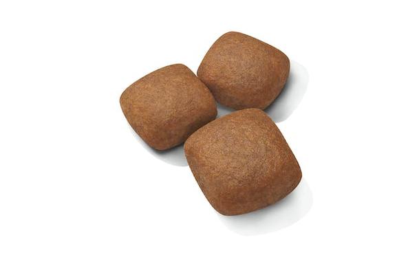 SHN GIANT JUNIOR 15KG