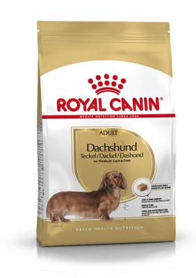 BHN DACHSHUND 1.5KG
