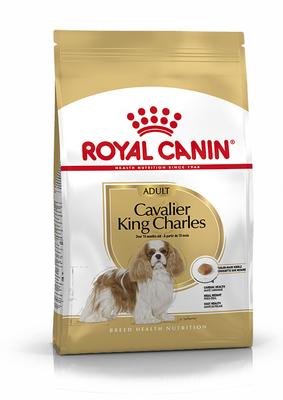 BHN CAVALIER KING CHARL.1.5KG