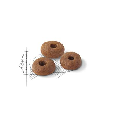 FHN FIT 10KG