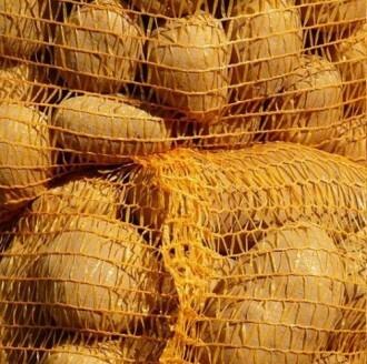 FILETS PDT 5KG (50PCS)