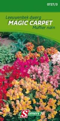 SOMERS MUFLIER NIAN MAGIC CARPET