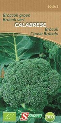 SOMERS BROCOLI VERT CALABR.
