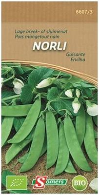 SOMERS BE-BIO-02 MANGE-TOUT NAIN