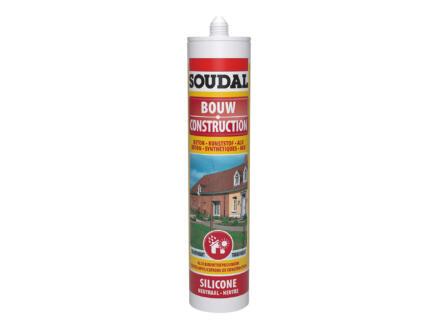 SILICONE NEUTRE TRANSP. 290ML