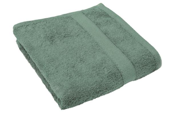 ESSUIE BAIN 50X100CM VERT EAU
