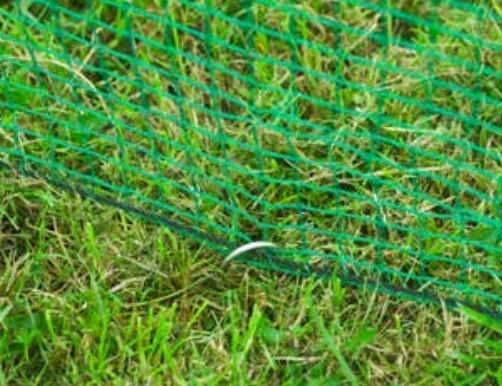 KIT FILET CLOTURE PETITS ANIMAUX 1X10 M