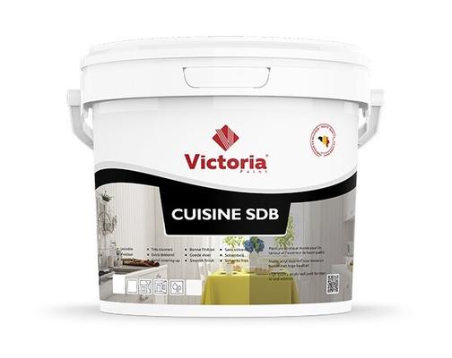 VICTORIA PAINT PEINTURE MUR ET PLAFOND CUISINE SDB 5L