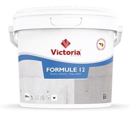 VICTORIA PAINT FORMULE 12 PEINTURE ACRYLIQUE MUR ET PLAFOND 20KG